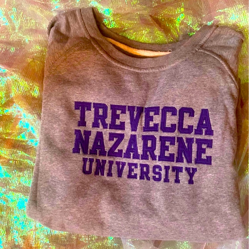Gray Trevecca Nazarene University Adult Sweatshirt